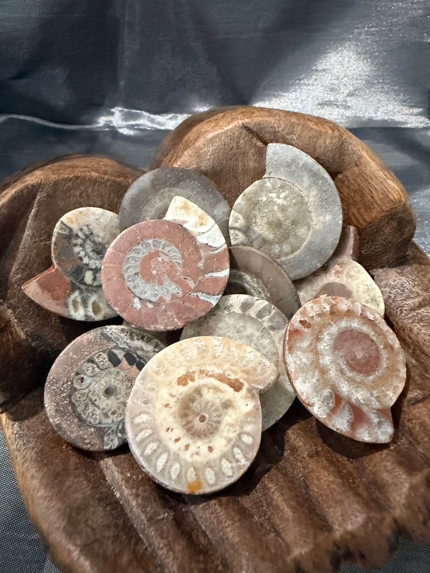 Ammonite - half polished face