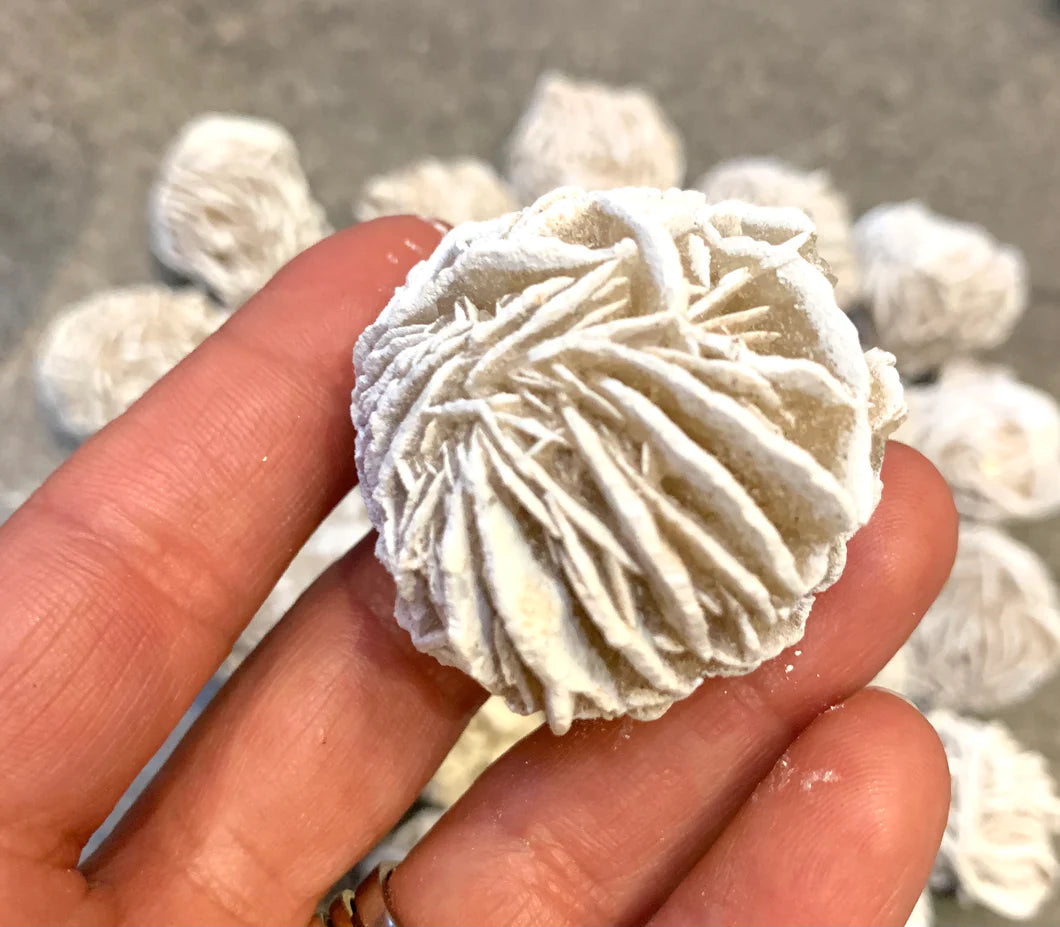 Desert Rose