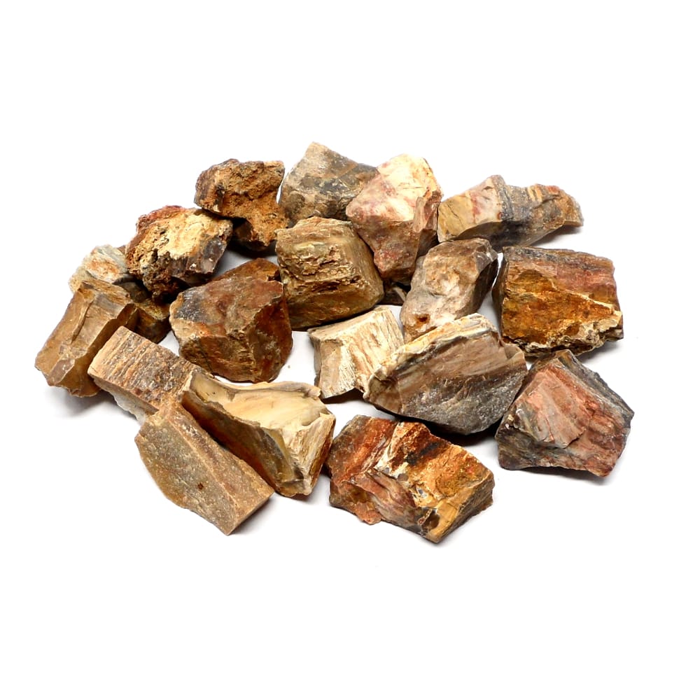 Petrified wood rough
