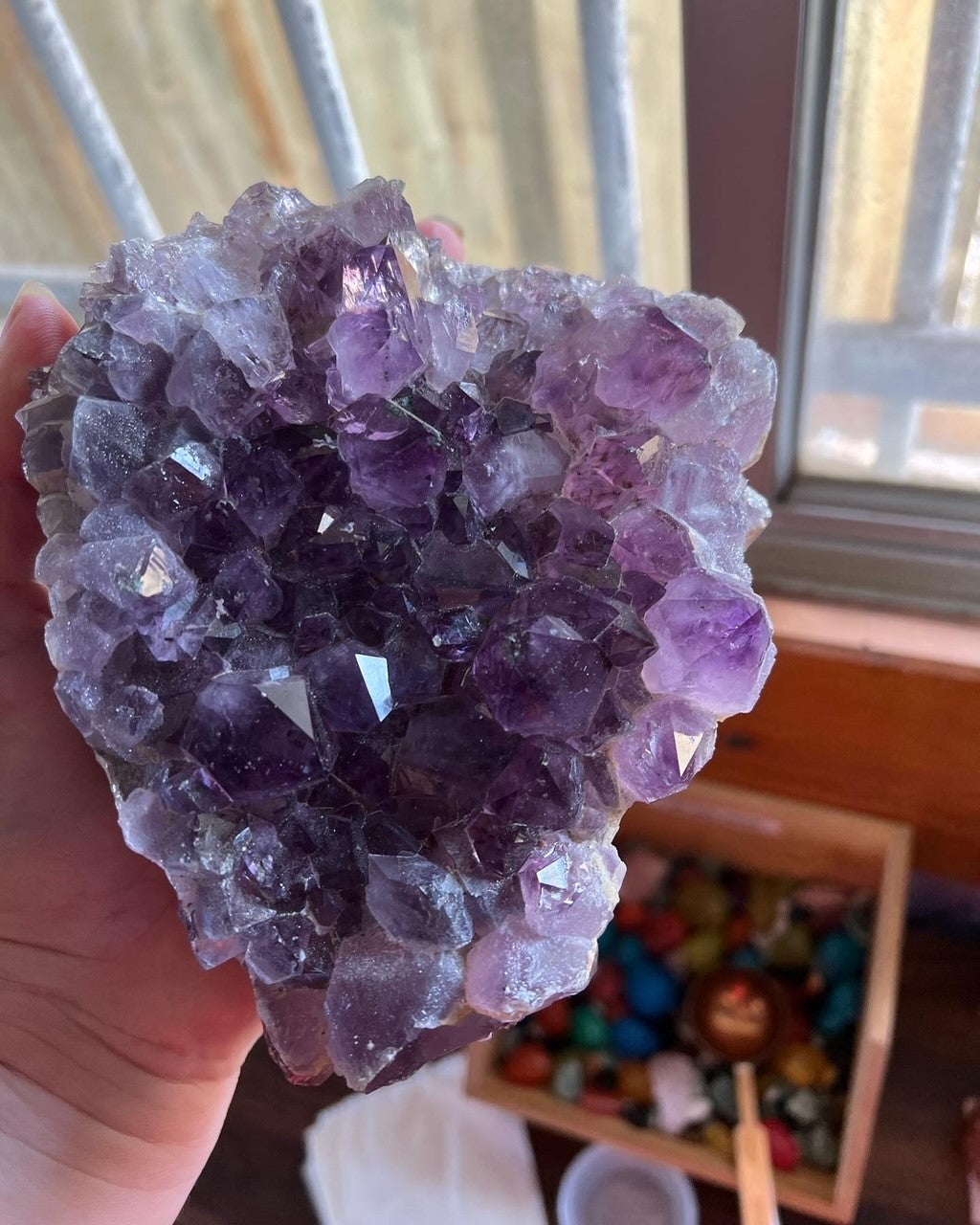 Amethyst Cluster 1.24kg