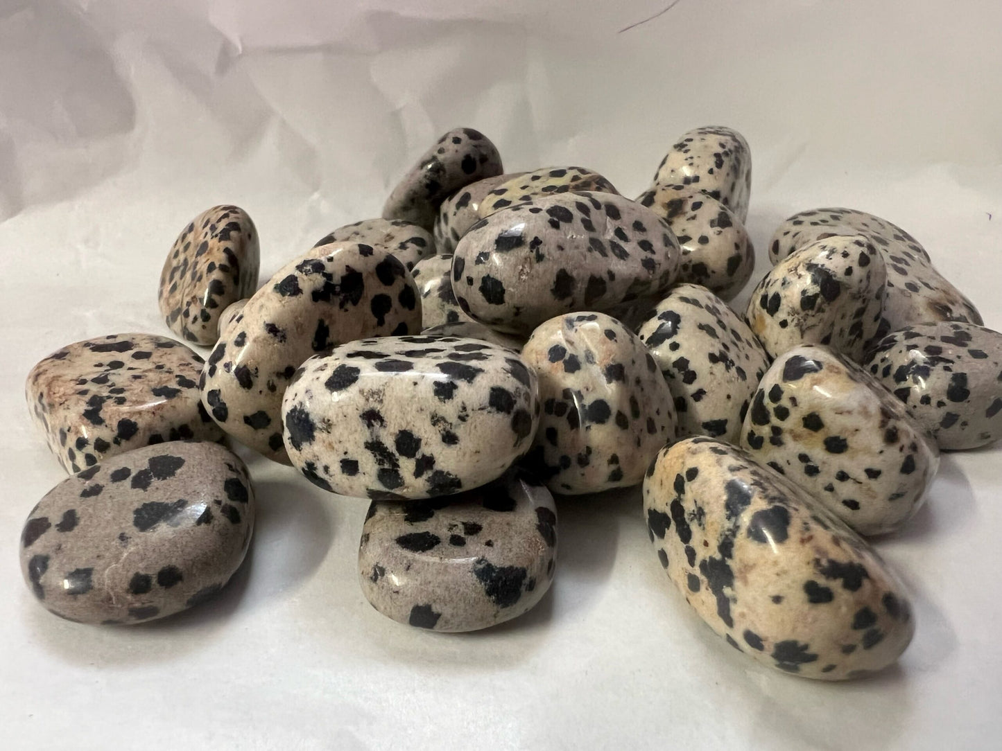 Dalmatian Jasper Tumbles