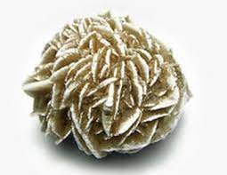 Desert Rose