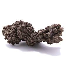 Coprolite (Dino Poo)