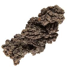 Coprolite (Dino Poo)