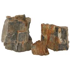 Petrified wood rough