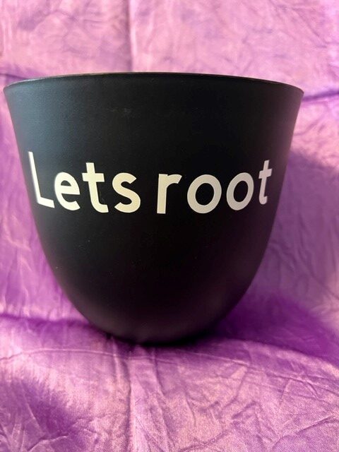Garden Pots with Decal - Plant puns